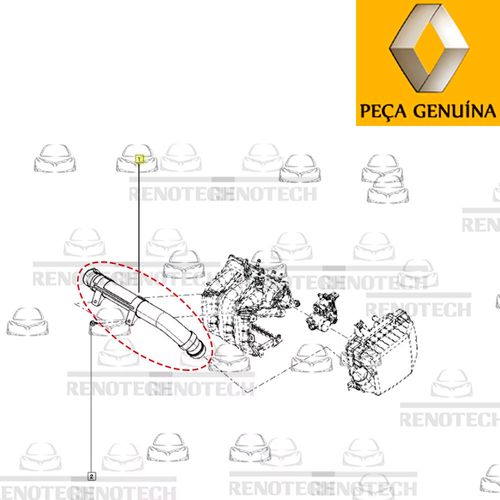 RN-60884R-D RN-60884R-D