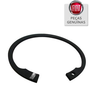 FT-11062176 FT-11062176