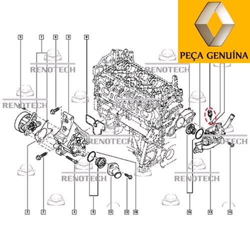 RN-012920--D RN-012920--D