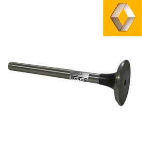 RN-466607-EX RN-466607-EX