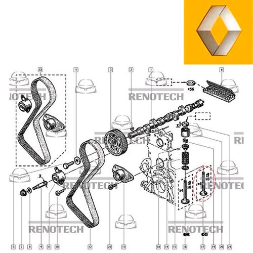 RN-466607-EX--d- RN-466607-EX--d-