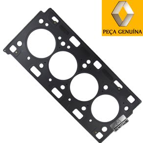 RN-406743-OI-1 RN-406743-OI-1