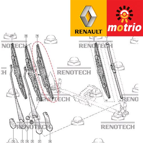 RN-266267-O--d- RN-266267-O--d-