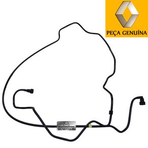 RN-565255-2--2- RN-565255-2--2-