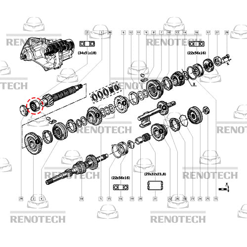 RN-090323-SX