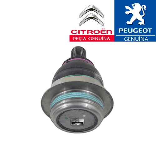 PC-657580-1--M-spec--PIVO-DA-SUSPENSAO---PEUGEOT-EXPERT---CITROEN-JUMPY