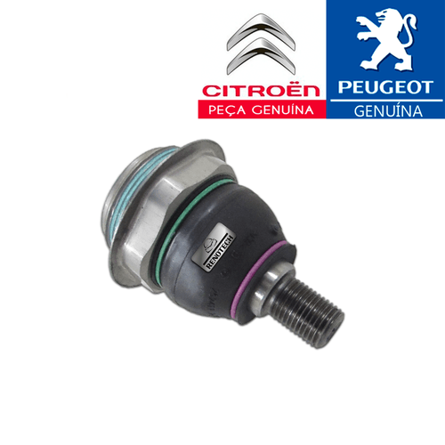 PC-657580-2V--M-spec--PIVO-DA-SUSPENSAO---PEUGEOT-EXPERT---CITROEN-JUMPY