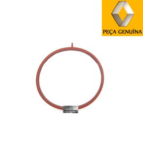 Rn-666468-Anel-Vedacao-Respiro-Oleo-2.0-16v-Duster-8201666468----1- Rn-666468-Anel-Vedacao-Respiro-Oleo-2.0-16v-Duster-8201666468----1-