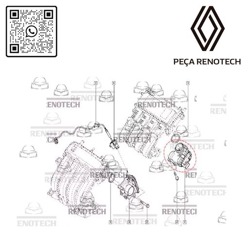 RN-051585-P-D