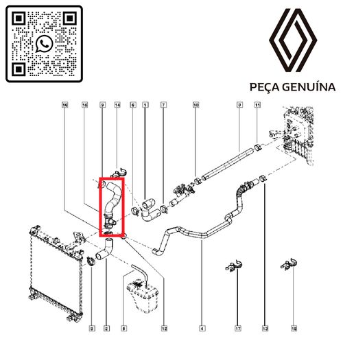 RN-57941R-210457941R-mangueira-inf.-do-radiador-com--T--1.0-12V-B4D-KWID