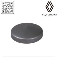 RN-40629R	402340629R	Capa-Do-Cubo-De-Roda-Traseiro-Renault-Kwid