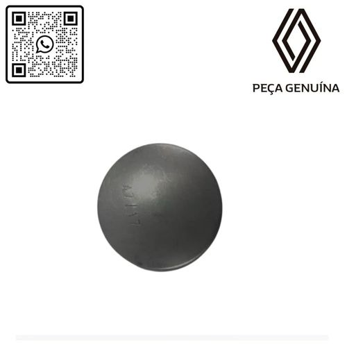 RN-40629R	402340629R	Capa-Do-Cubo-De-Roda-Traseiro-Renault-Kwid RN-40629R	402340629R	Capa-Do-Cubo-De-Roda-Traseiro-Renault-Kwid